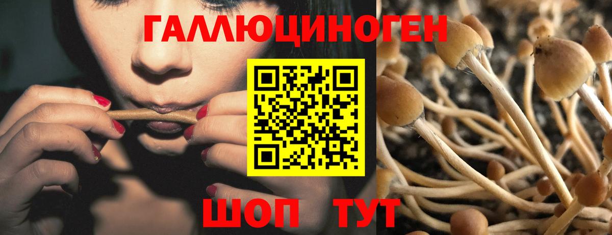 Псилоцибиновые грибы мухоморы Новокуйбышевск
