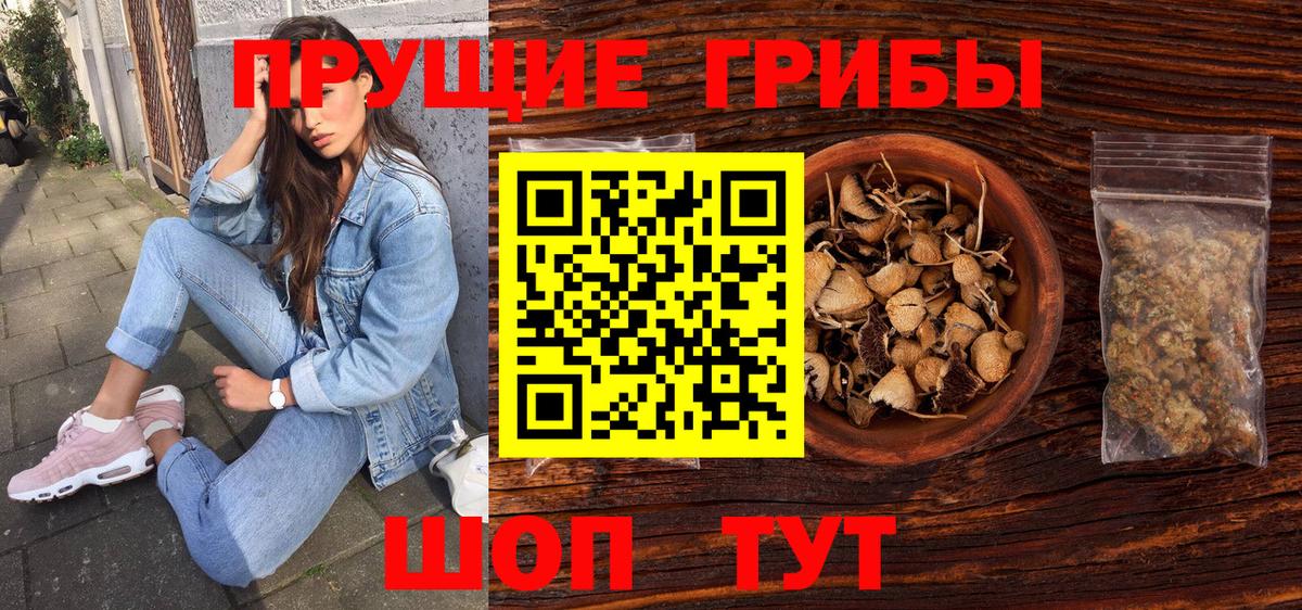 Новокуйбышевск  Галлюциногенные грибы Psilocybine cubensis  Вход с VPN  Псилоцибиновые грибы мухоморы 